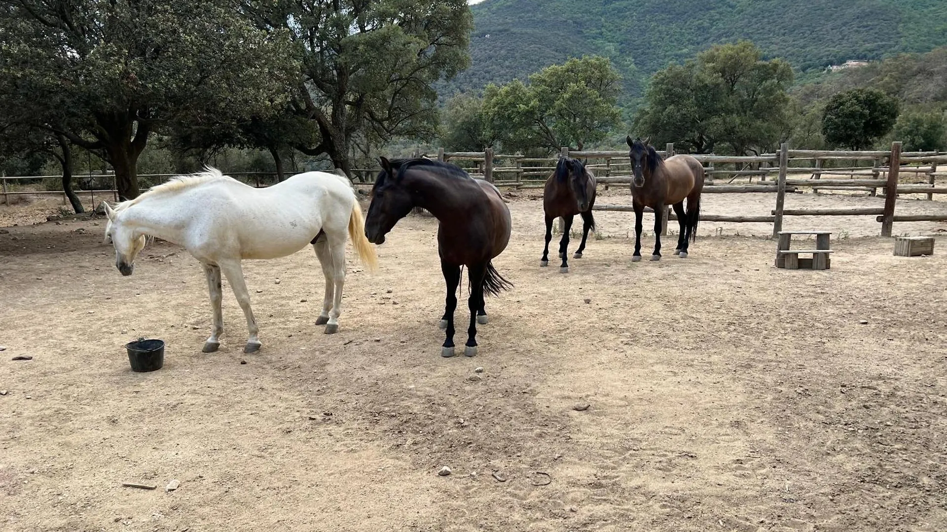 Can Maimes Agullana Spanien