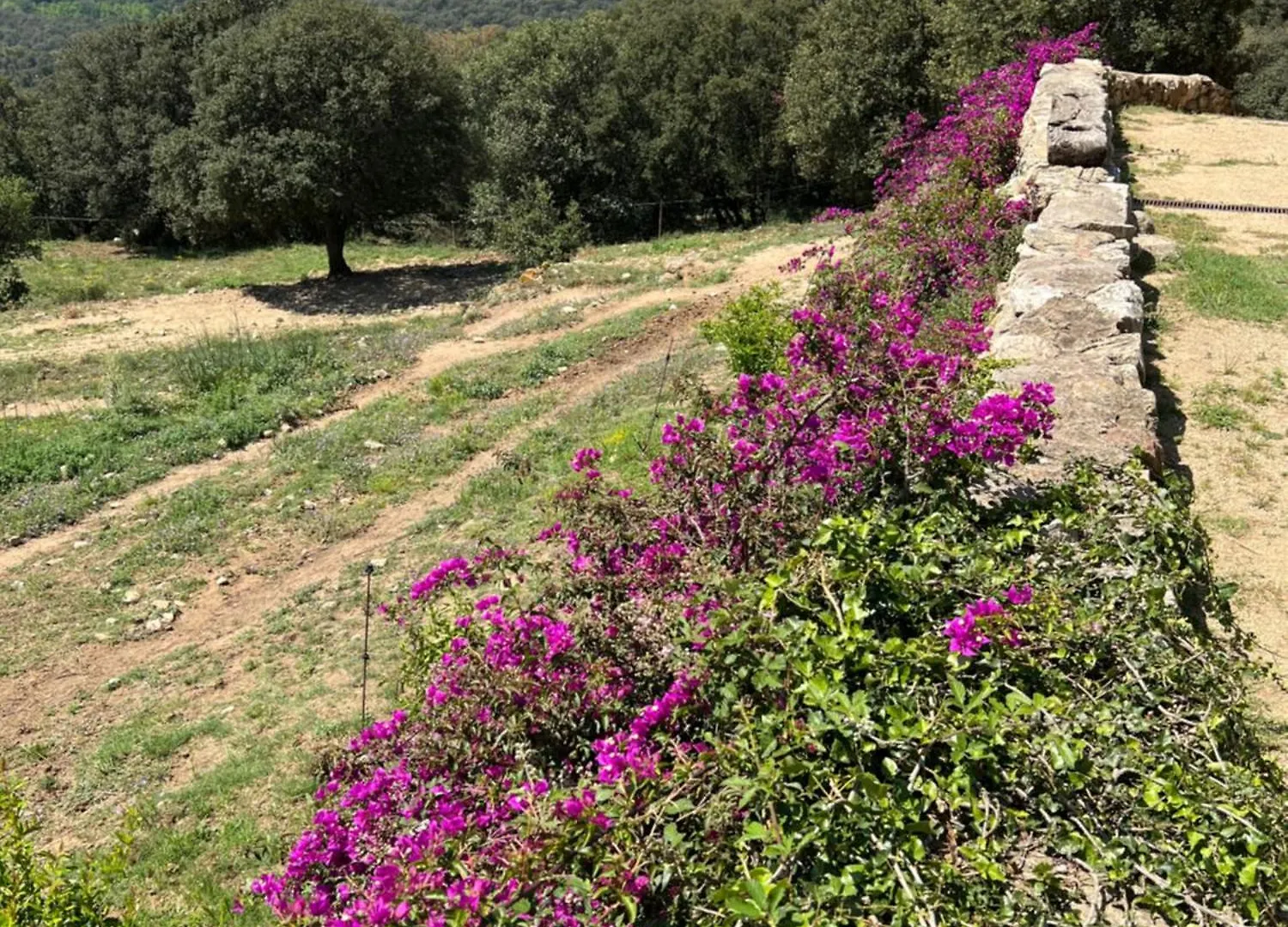 Can Maimes Agullana Spanien